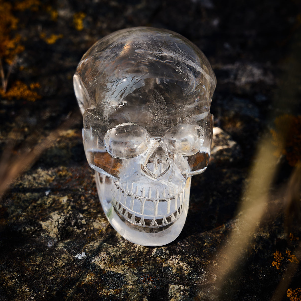Crâne - Tête de mort en Cristal de Roche