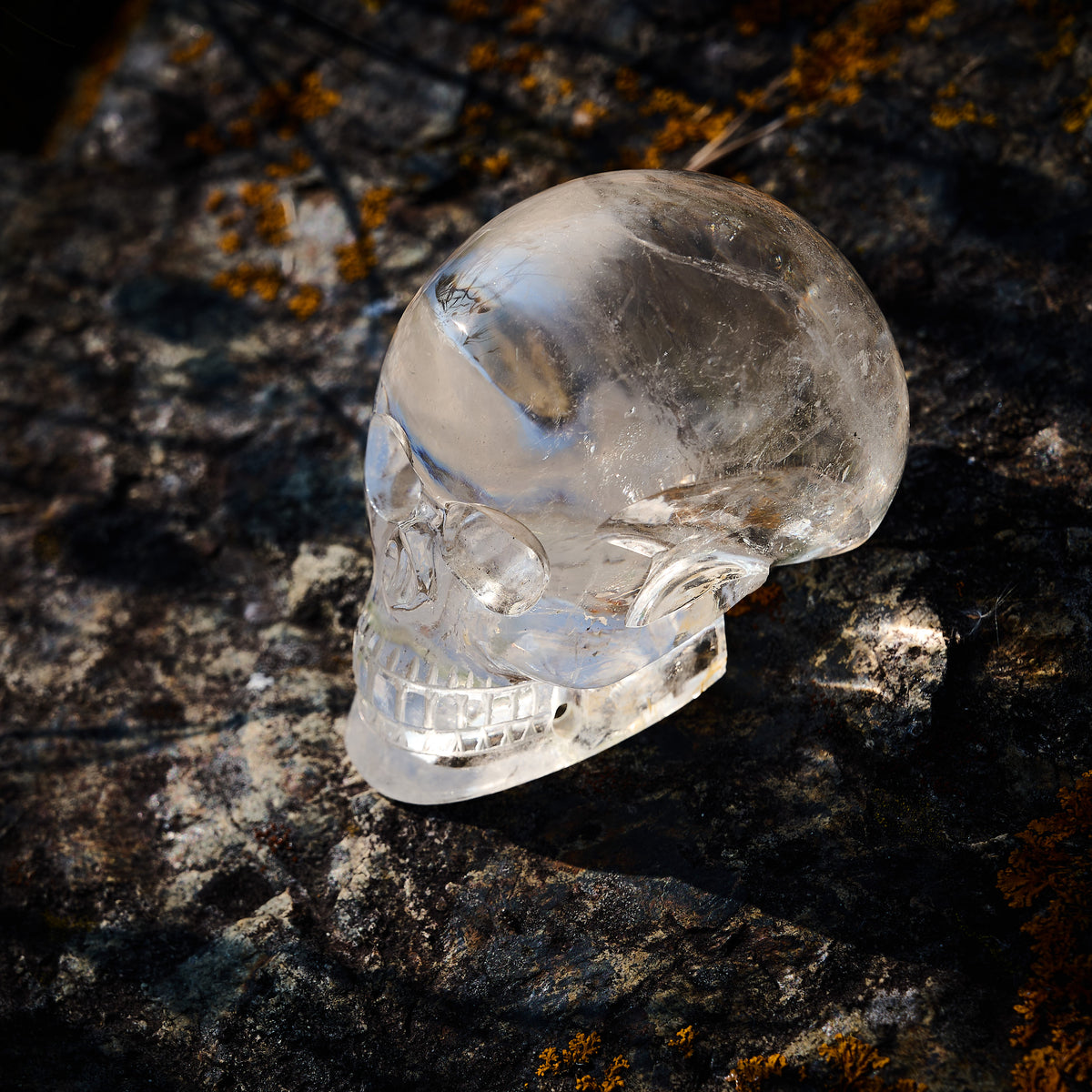 Crâne - Tête de mort en Cristal de Roche